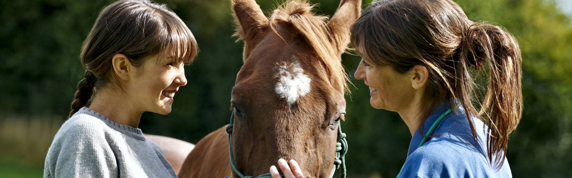 Equine Fecal Egg Count Kits detecting Pinworms in Horses