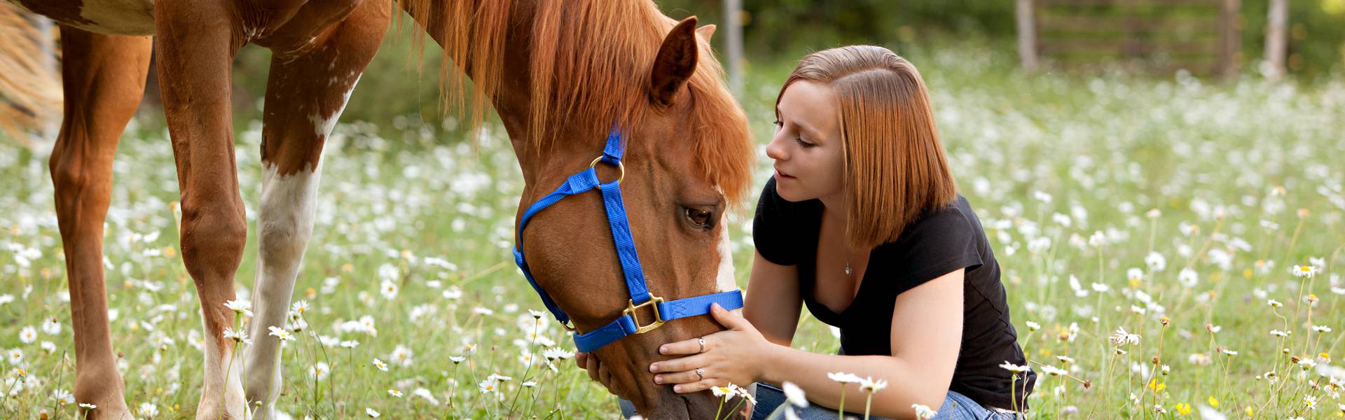 Equine Fecal Egg Count Kits detecting Roundworms in Horses