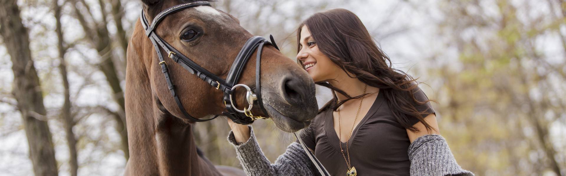 Equine Fecal Egg Count Kits detecting Strongyles in Horses